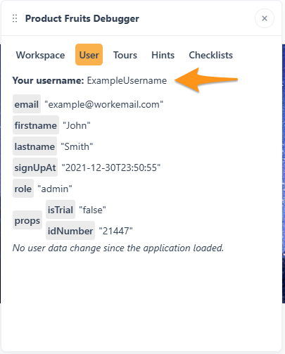 An example of the Product Fruits window's User tab 
